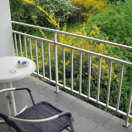 Szálloda Dom-hotel 4*