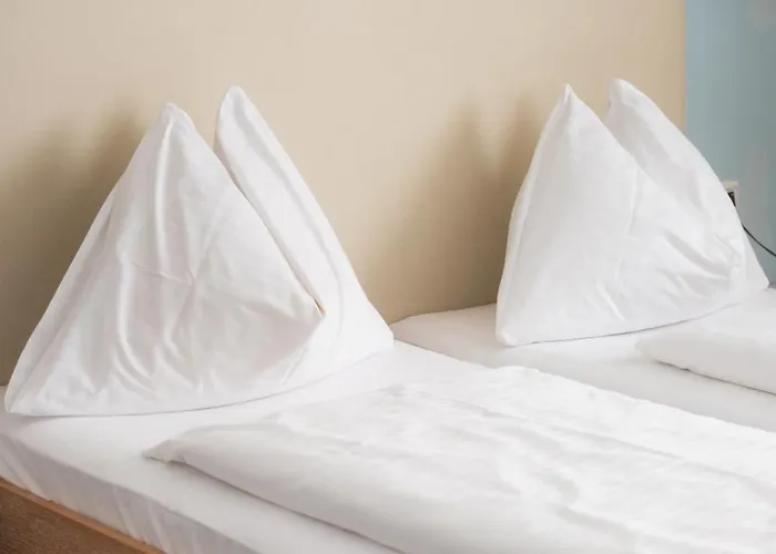 فندق Dom-hotel لينتز